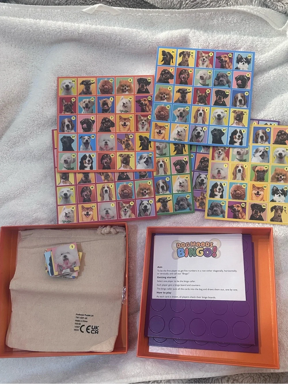 Bingo! Family Dog Game - Colorful Orange Box